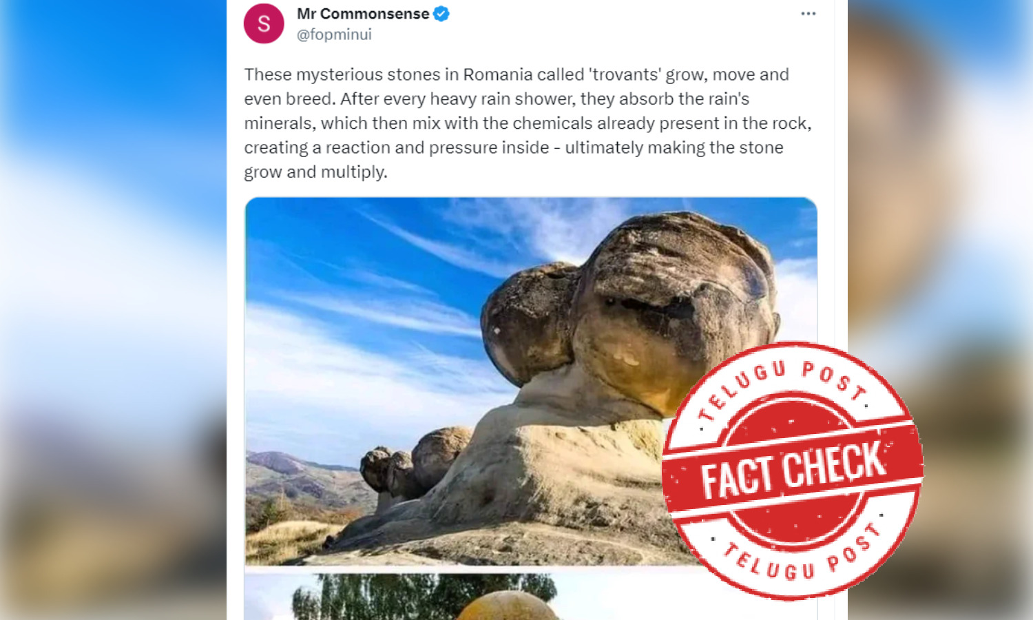 Fact Check Trovant Stones In Romania Grow In Size After Getting Wet In