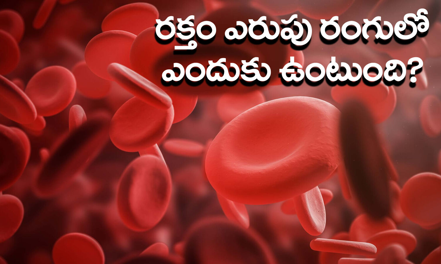 Blood Color: రక్తం ఎరుపు రంగులో ఎందుకు ఉంటుంది? | why blood is red in ...